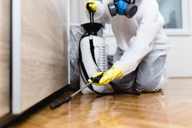 Reliable Carolina Forest, SC Pest Control Solutions