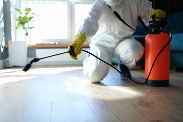 Flea Control Services in Carolina Forest, SC