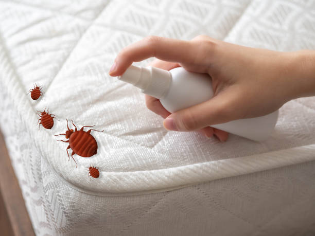 Best Cockroach Control Services  in Carolina Forest, SC