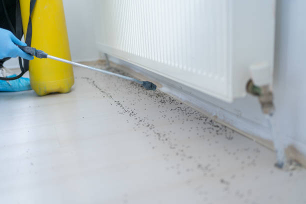 Pest Control for Restaurants in Carolina Forest, SC