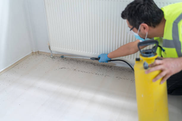 Best Commercial Pest Control Services  in Carolina Forest, SC